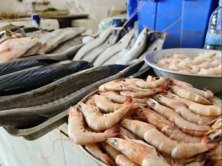 سوق السمك جازان – الأسماك الطازجة والمأكولات البحرية
